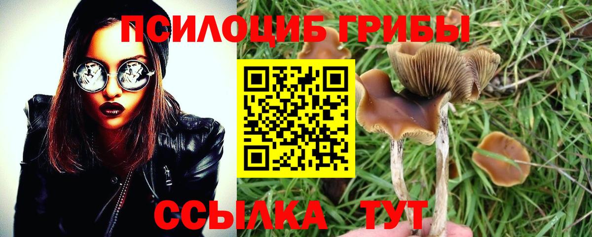 Белорецк  Псилоцибиновые грибы Cubensis  наркошоп  Вход с VPN 